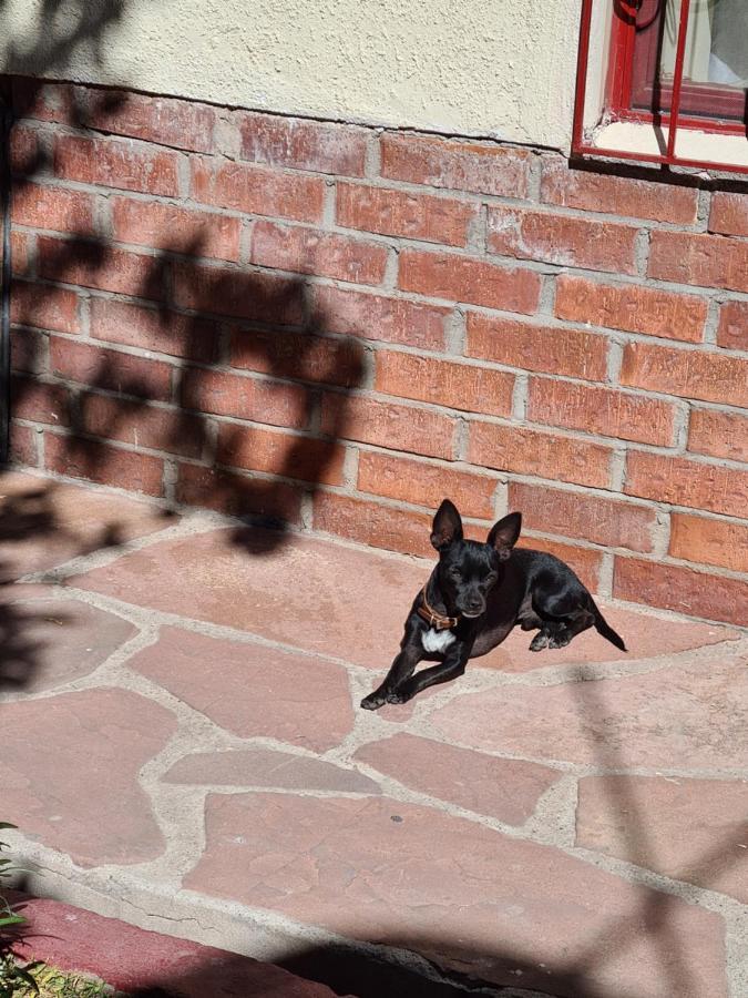 Hostal Ika Chihuahua Eksteriør bilde